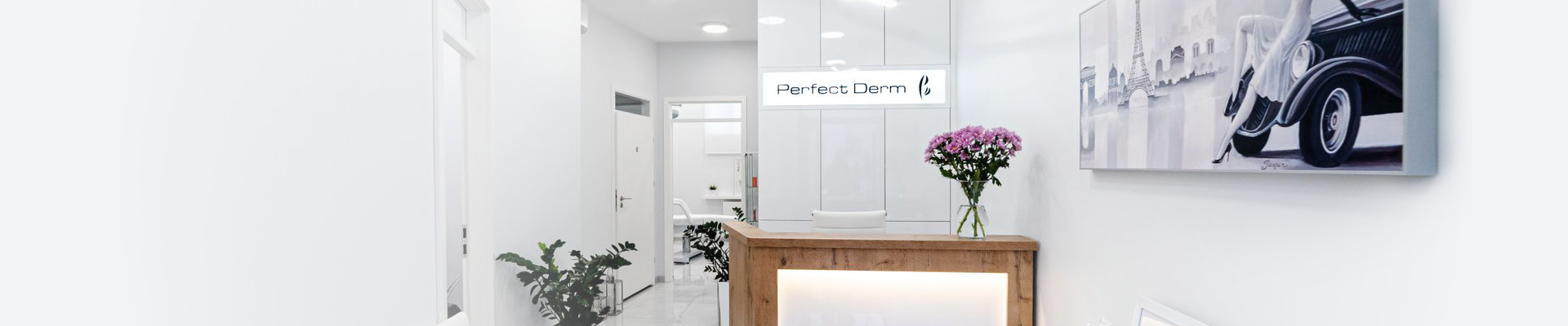 artykuły, konsultacje